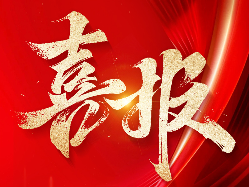 仲兴环保 荣获 Sony Green Partner 认证！